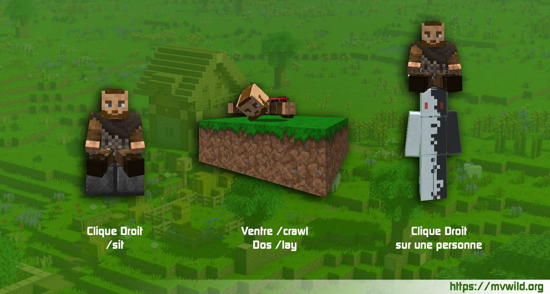 Nouvelles Fonctionnalités sur le serveur